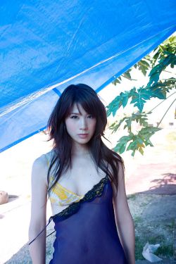 抓住貂蝉的两只大兔子主题曲